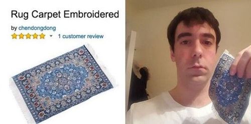 3996608-xFQVo.jpg