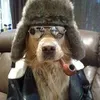 Avatar snupidog