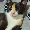 Avatar lulu98