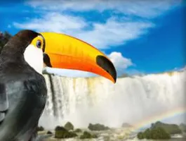 Pacote Foz do Iguaçu 2019: aéreo + hospedagem com café da manhã a partir de R$519