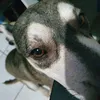 Avatar valz