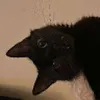 Avatar anderson_santoslkt