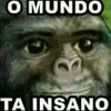Avatar pedro_bandeira