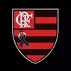 Avatar danrlleyteixeira
