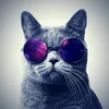Avatar danilodutra