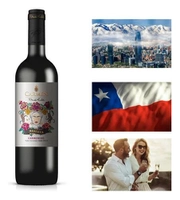 Vinho Tinto Frida Kahlo Reserva Carmenere 750ml