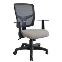 Cadeira Escritório Giratória Ergonômica Encosto Em Tela Nr17 | R$523