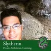 Avatar marianomaiademedeiros