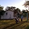 Avatar natank