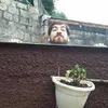 Avatar dkaoa