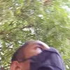 Avatar cicerosilva_lraj