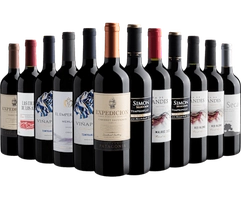 Kit 12 Vinhos Tintos por R$21,90 cada garrafa*