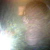 Avatar carlos_costauzd