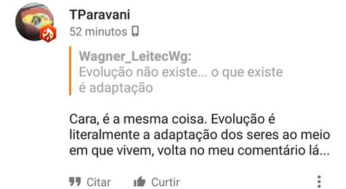 5262634-Dfbor.jpg