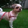 Avatar camila_souzaq