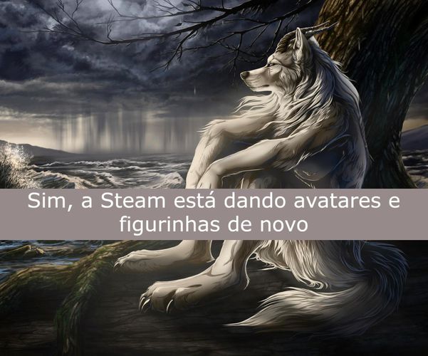 Imagem do comentário