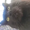 lqrz