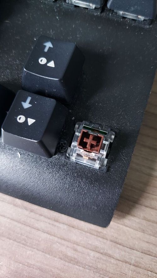 6679943.jpg