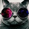 Avatar zreexbr_