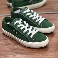 Tênis Lacoste Backcourt - Todas as cores