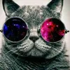 Avatar flavio_gomese0t