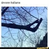 Avatar thefluperarrow