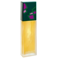 Perfume Animale Feminino 100ml R$104