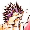 Avatar hedgehog