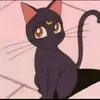 Avatar lets_