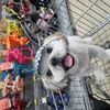 Avatar dog_do_bone