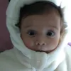 Avatar titi