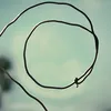 Avatar dan7