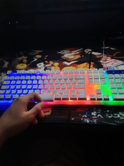 7290433-yv4k2.jpg
