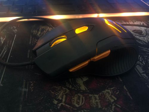 mouse.jpg