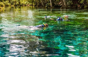 Pacote de Viagem - Bonito - 2023