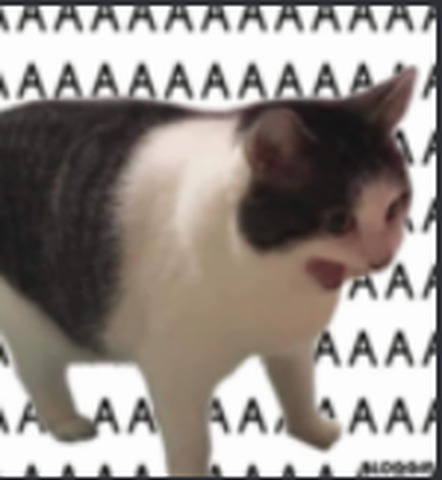 Screenshot_6.png