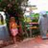 Avatar loboguaradoscupons5703