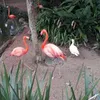 Avatar catita
