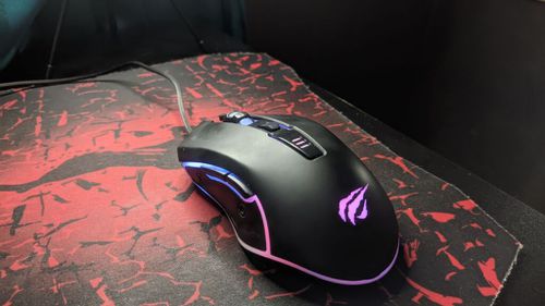 7092955.jpg