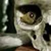 Avatar micoleaodoscupons2537