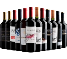 Kit 12 vinhos por R$22 cada garrafa