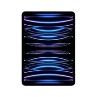Apple iPad Pro 12.9", 6ª Geração, Chip M2, Wi-Fi, 1TB, Prateado - MNXX3BZ/A