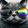 Avatar davi_br