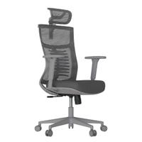 Cadeira Ergonômica Elements Vertta