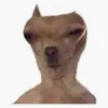 Avatar _vinicius