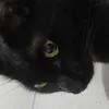Avatar mathio