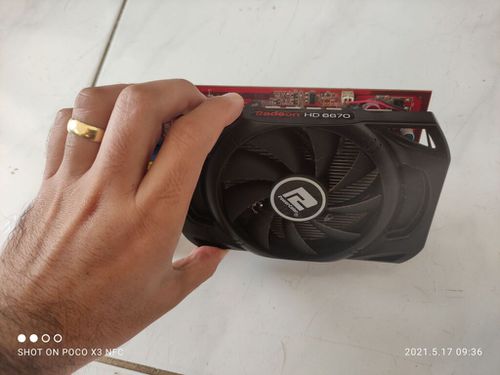 6849279.jpg