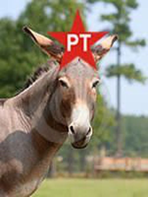 3981242-pITAp.jpg