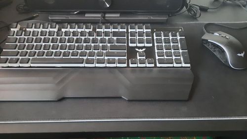 6146623-l8nxW.jpg