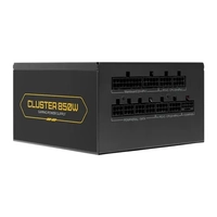 Fonte Pichau Cluster, 850W, PCIe 5.0, Full Modular, Cybenetics Gold, Preto, PG-CL850-BK01